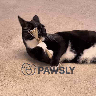 Pawsly Natural Silvervine Sticks (Pack of 5)