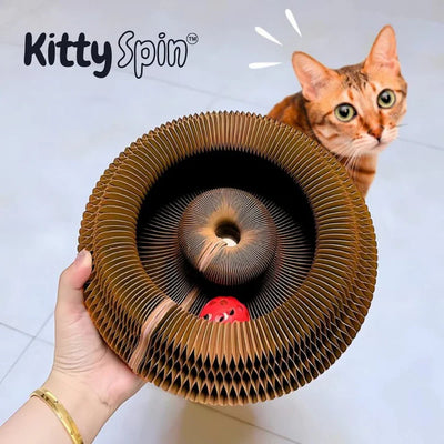 KittySpin™ | 2-in-1 Scratcher & Ball Track