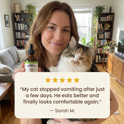 Pawsly Advanced Cat Probiotic (60 ml)