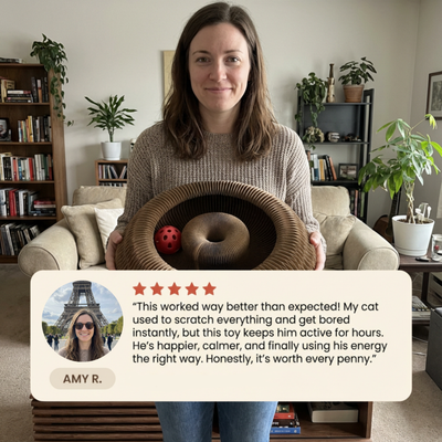 KittySpin™ | 2-in-1 Scratcher & Ball Track