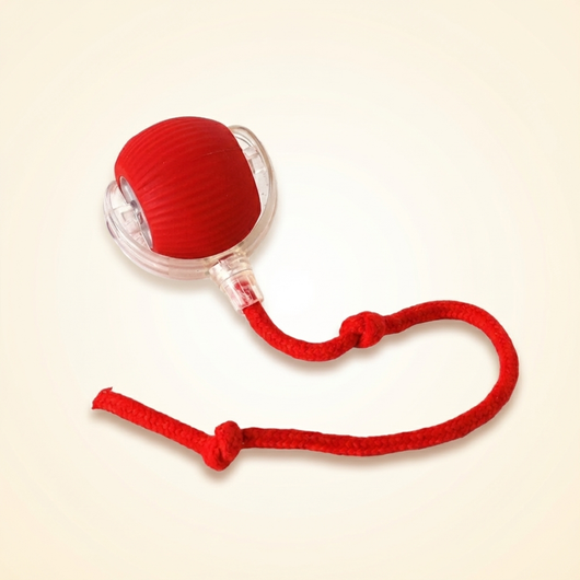 Interactive SmartBall