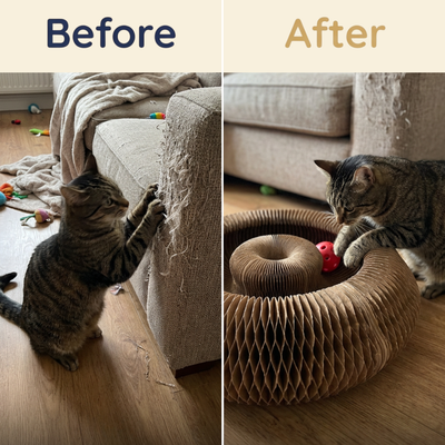 KittySpin™ | 2-in-1 Scratcher & Ball Track
