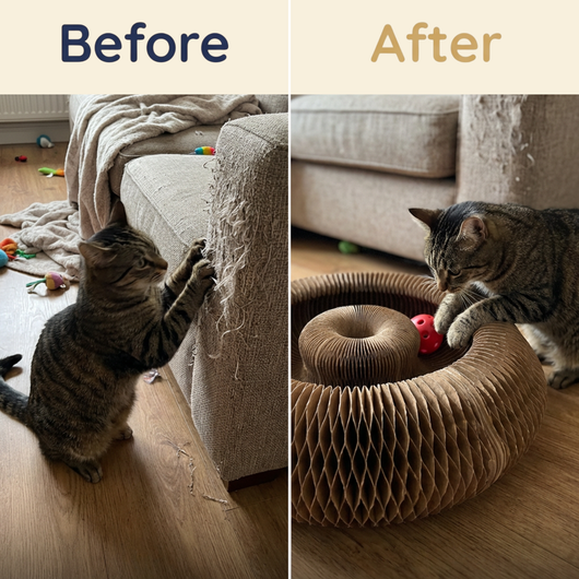 KittySpin™ | 2-in-1 Scratcher & Ball Track