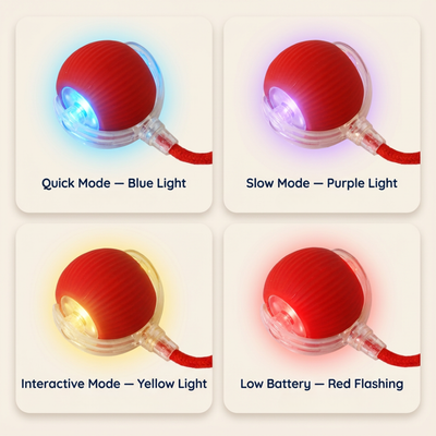 Interactive SmartBall