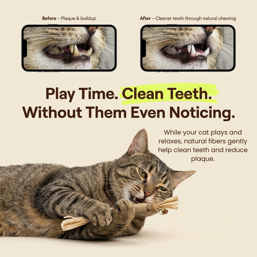 Pawsly Natural Silvervine Sticks (Pack of 5)