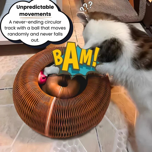 KittySpin™ | 2-in-1 Scratcher & Ball Track