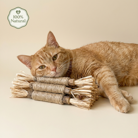 Pawsly Natural Silvervine Sticks (Pack of 5)