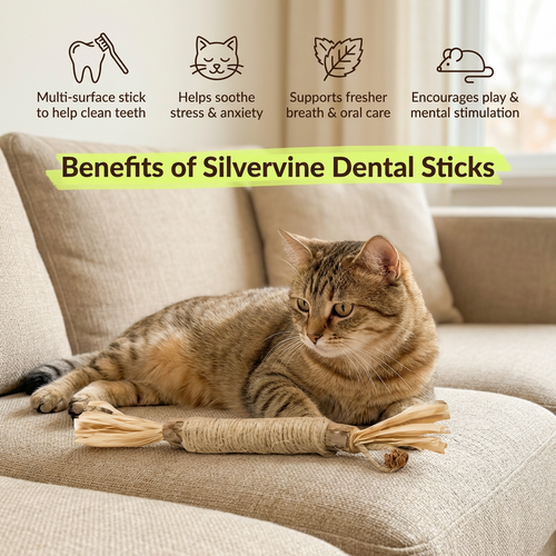 Pawsly Natural Silvervine Sticks (Pack of 5)