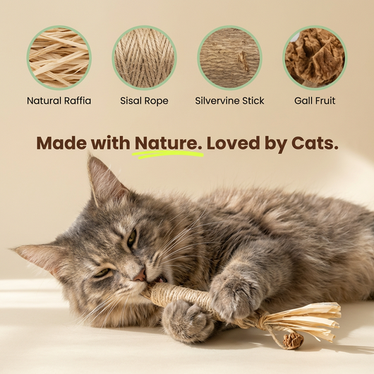 Pawsly Natural Silvervine Sticks (Pack of 5)