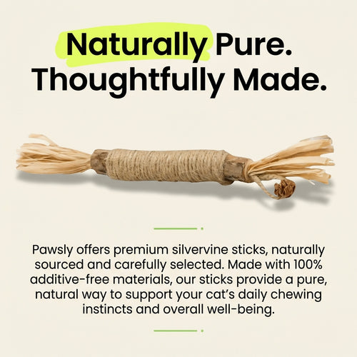 Pawsly Natural Silvervine Sticks (Pack of 5)