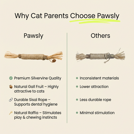Pawsly Natural Silvervine Sticks (Pack of 5)