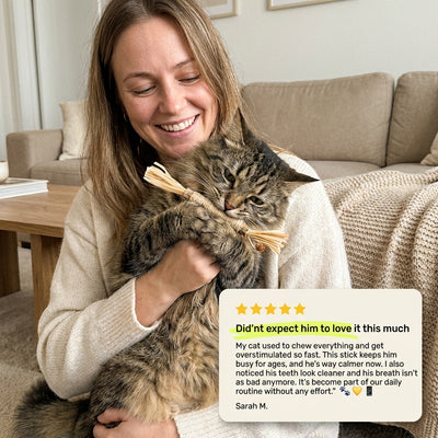 Pawsly Natural Silvervine Sticks (Pack of 5)