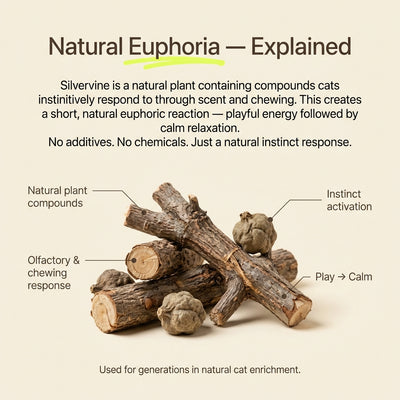 Pawsly Natural Silvervine Sticks (Pack of 5)