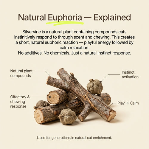 Pawsly Natural Silvervine Sticks (Pack of 5)