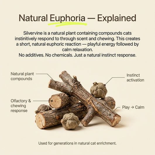 Pawsly Natural Silvervine Sticks (Pack of 5)